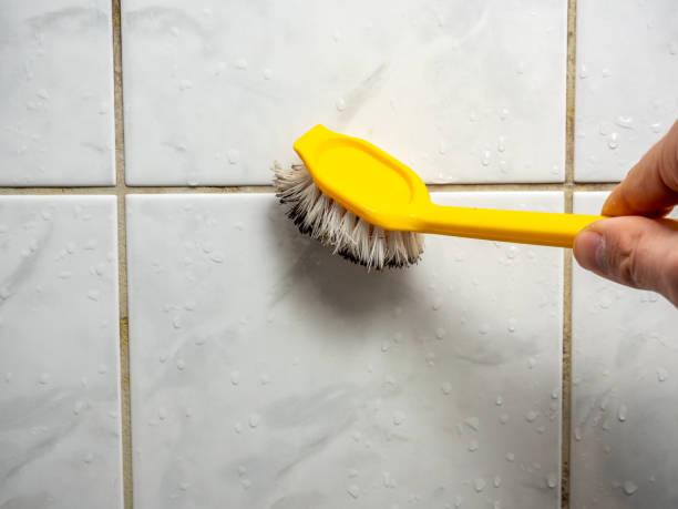 Best DIY Mold Remediation Support Services in Krum, TX