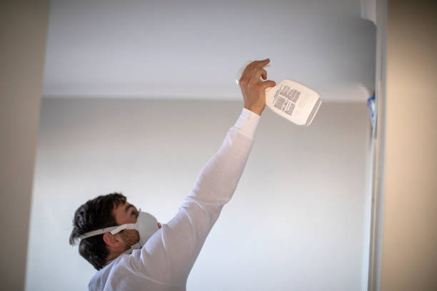 Trusted Krum, TX Mold Remediation Experts