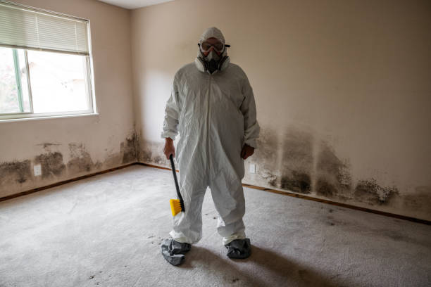 Best Localized Mold Remediation (e.g., coastal areas, humid climates) in Krum, TX